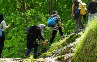 Activity Day im Mai – Wanderung zu den Bad Uracher Wasserfällen